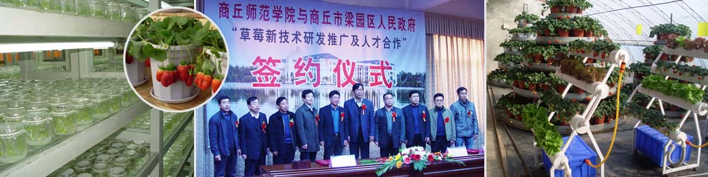 英国上市365——新技术研发与推广